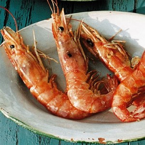 gambes