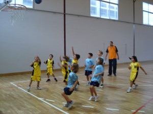 minis1
