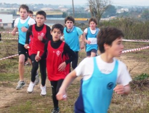 Alevins masculins