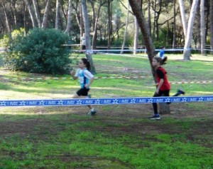 Benj. fem. i Andrea Peregrina